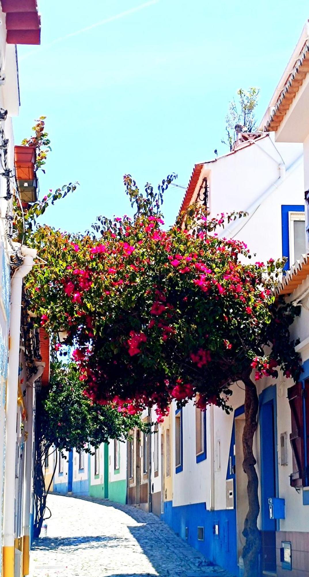 Wonderful Apartment In Ferragudo 2Double Beds Near Beaches And Golf エクステリア 写真